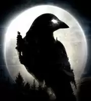 Night Crow